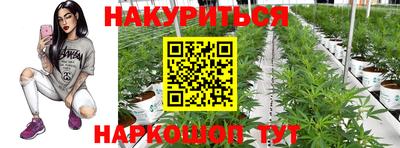 гидра Дубна